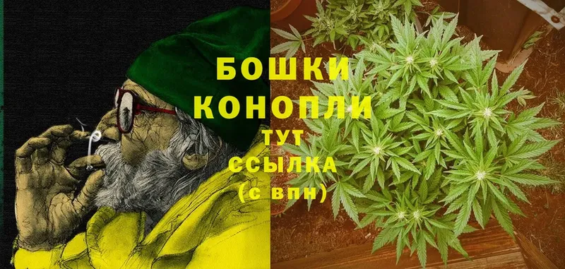 Марихуана OG Kush  Зубцов 